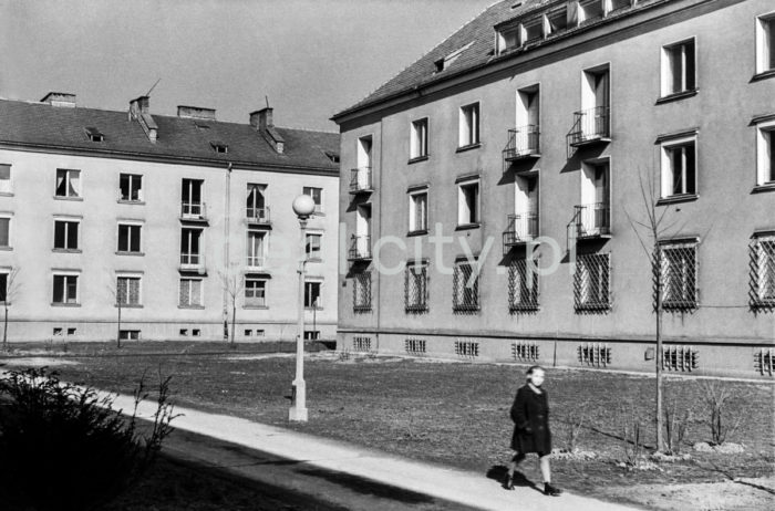 Na Skarpie Estate. 1950s.

Osiedle na Skarpie. Lata 50. XX w.

Photo by Wiktor Pental/idealcity.pl

