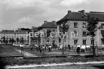 Willowe Estate; on the left: sports field by the Sixteenth Secondary School, in the background: buildings on the Stalowego Estate. 1950s.

Osiedle Willowe, po lewej boisko Liceum Ogólnokształcącego nr. XVI, w perspektywie zabudowa Osiedla Stalowego. Lata 50. XX w.

Photo by Wiktor Pental/idealcity.pl

