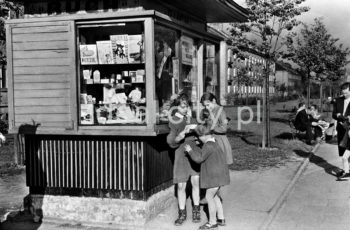A Ruch chain kiosk, the intersection of Igołomska Alley (now Jana Pawła II Alley) and Nowotki Street (now Zuchów Street); in the background: residential buildings on the Wandy (A-Południe) Estate. 1950s.

Kiosk „Ruchu”, Aleja Igołomska (obecnie aleja Jana Pawła II) na skrzyżowaniu z ulicą Nowotki (obecnie ul. Zuchów), w tle widoczne domy mieszkalne na Osiedlu Wandy (A-Południe), lata 50. XX w.

Photo by Wiktor Pental/idealcity.pl
