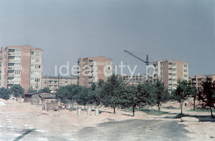 Residential buildings in Sector D. The new sector was designed by architects Tadeusz Rembiesa and Bolesław Skrzybalski. The loose layout of the blocks was designed by architects Józef König, Andrzej Radnicki, Adam Fołtyn, Wacław Głowacki and Kazimierz Karasiński. The arrangement of buildings was harmonious and rhythmical; there were three estates: D-3 (Handlowe), D-2 (Kolorowe), D-1 (Spółdzielcze) and D-31 (Centrum). The shape of the sector had to relate to the original project, but the urban layout and the height of the blocks were consistent with the nearby airport in Rakowice-Czyżyny. The frontages were coloured, the buildings were mostly had four floors, eleven-storey blocks were rare. So-called Swedish blocks, or formally modern buildings, were the most numerous. 1960s.

Bloki mieszkalne w sektorze D. Sektor w nowej formie zaprojektowany został przez architektów Tadeusza Rembiesę i Bolesława Skrzybalskiego. Bloki tworzą luźny układ przestrzenny, zostały zaprojektowane przez architektów Józefa Königa, Andrzeja Radnickiego, Adama Fołtyna, Wacława Głowackiego i Kazimierza Karasińskiego. Budynki rozplanowane zostały w sposób harmonijny i rytmiczny, i podzielone na cztery osiedla: D-3 (Handlowe), D-2 (Kolorowe) i D-1 (Spółdzielcze) oraz D-31 (Centrum). Kształt sektora uzależniony był od pierwotnego projektu, jednak układ urbanistyczny i wysokość budynków uzależniony był od znajdującego się w pobliżu lotniska w Rakowicach - Czyżynach. Budynki posiadały kolorowe elewacje i najczęściej osiągały wysokość czterech pięter, do rzadkości należą budynki jedenastokondygnacyjne. Większość z nich to tzw. bloki szwedzkie, czyli budynki zaliczane do nowoczesnych formalnie. Lata 60.

Photo by Wiktor Pental/idealcity.pl

