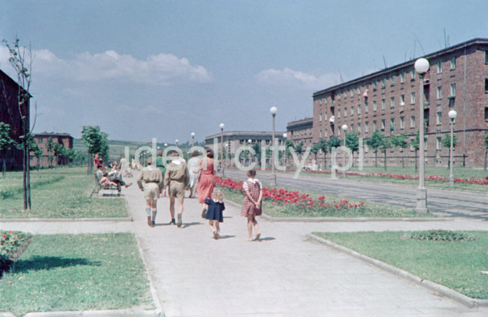 Aleja Róż, widok w kierunku osiedla C-2 Południe (Górali) po lewej i osiedla B-2 Południe (Zielone), koniec l.50.XX w.
Fotografia barwna.

fot. Wiktor Pental/idealcity.pl

