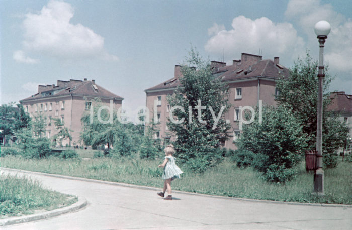 Osiedle Wandy, koniec lat 60. XXw. Fotografia barwna.

fot. Wiktor Pental/idealcity.pl

