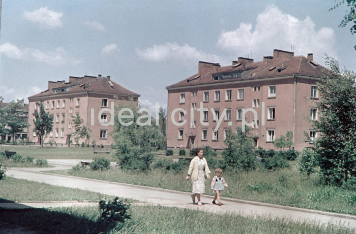 Wandy Estate. Late 1960s. Colour photography.

Osiedle Wandy, koniec lat 60. XX w. Fotografia barwna.

Photo by Wiktor Pental/idealcity.pl

