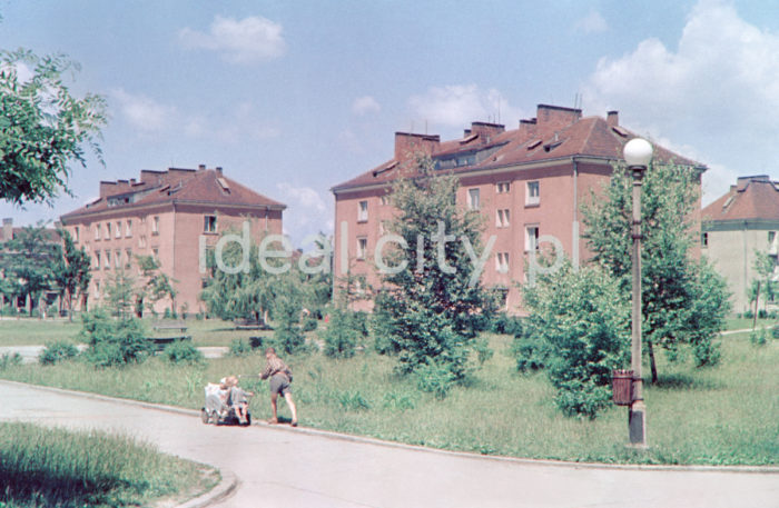 Wandy Estate. Late 1960s. Colour photography.

Osiedle Wandy, koniec lat 60. XX w. Fotografia barwna.

Photo by Wiktor Pental/idealcity.pl

