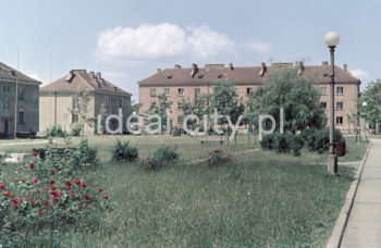 Osiedle Wandy, koniec lat 50. XXw. Fotografia barwna.

fot. Wiktor Pental/idealcity.pl

