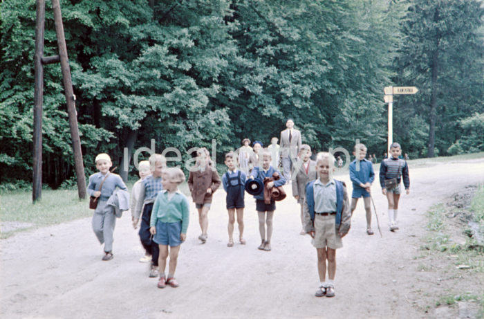 A school trip to the zoological garden in Kraków, Wolski Forest. 1950s. Colour photography

Wycieczka szkolna w krakowskim ZOO, Las Wolski. Lata 50. XX w. Fotografia barwna.

Photo by Wiktor Pental/idealcity.pl

