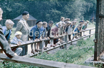 Wycieczka szkolna w krakowskim ZOO, Las Wolski. Lata 50. XXw. Fotografia barwna.

fot. Wiktor Pental/idealcity.pl

