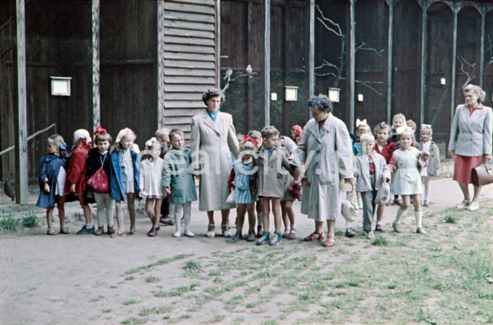 A school trip to the zoological garden in Kraków, Wolski Forest. 1950s. Colour photography.

Wycieczka szkolna w krakowskim ZOO, Las Wolski. Lata 50. XX w. Fotografia barwna.

Photo by Wiktor Pental/idealcity.pl

