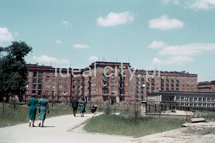 Hutnicze Estate, on the right: pavilion of today’s “DPS Hutnicze” nursing home. Late 1950s. Colour photography.

Osiedle Hutnicze, po prawej widoczny pawilon dzisiejszego Domu Pomocy Społecznej 