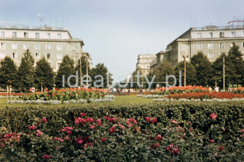 View from Plac Centralny with colourful flower beds towards Róż Alley. On the sides: residential buildings on the Centrum B (right) and Centrum C Estates. 1960s. [picture postcard]

Widok z Placu Centralnego obsadzonego barwnymi klombami kwiatowymi w kierunku alei Róż. po bokach widoczne budynki mieszkalne na osiedlach Centrum B (po prawej stronie) oraz Centrum C, lata 60. [kartka pocztowa]

Photo by Wiktor Pental/idealcity.pl

