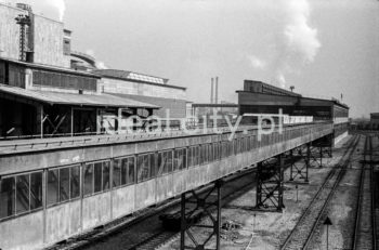 Stalownia konwertorowa w kombinacie im. W. I. Lenina w Nowej Hucie, 1966r.

fot. Henryk Makarewicz/idealcity.pl


