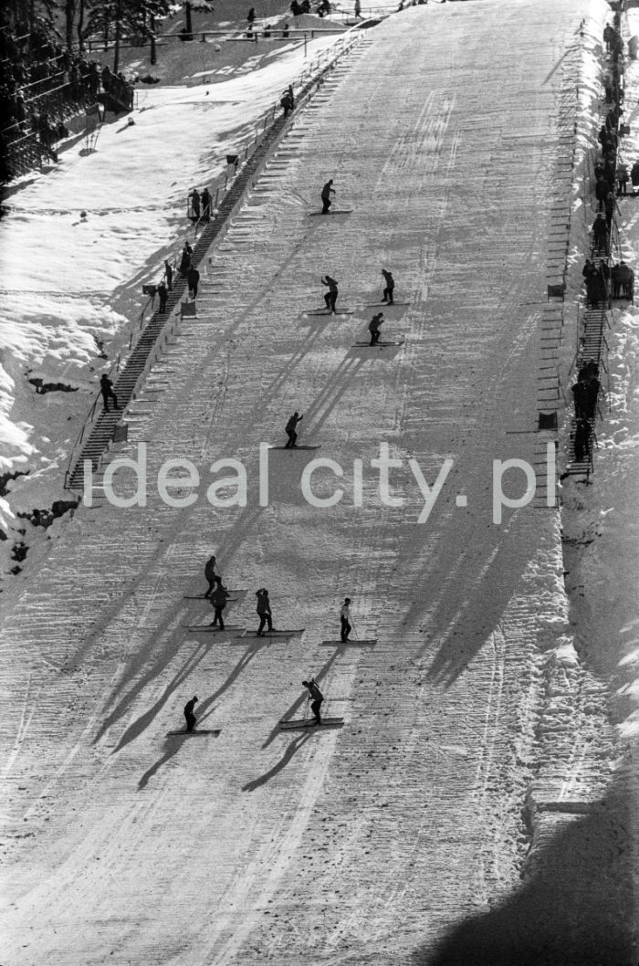 Preparations on the Wielka Krokiew ski jumping hill in Zakopane. 1960s.

Prace przygotowawcze na Wielkiej Krokwi w Zakopanem. Lata 60. XX w.

Photo by Henryk Makarewicz/idealcity.pl


