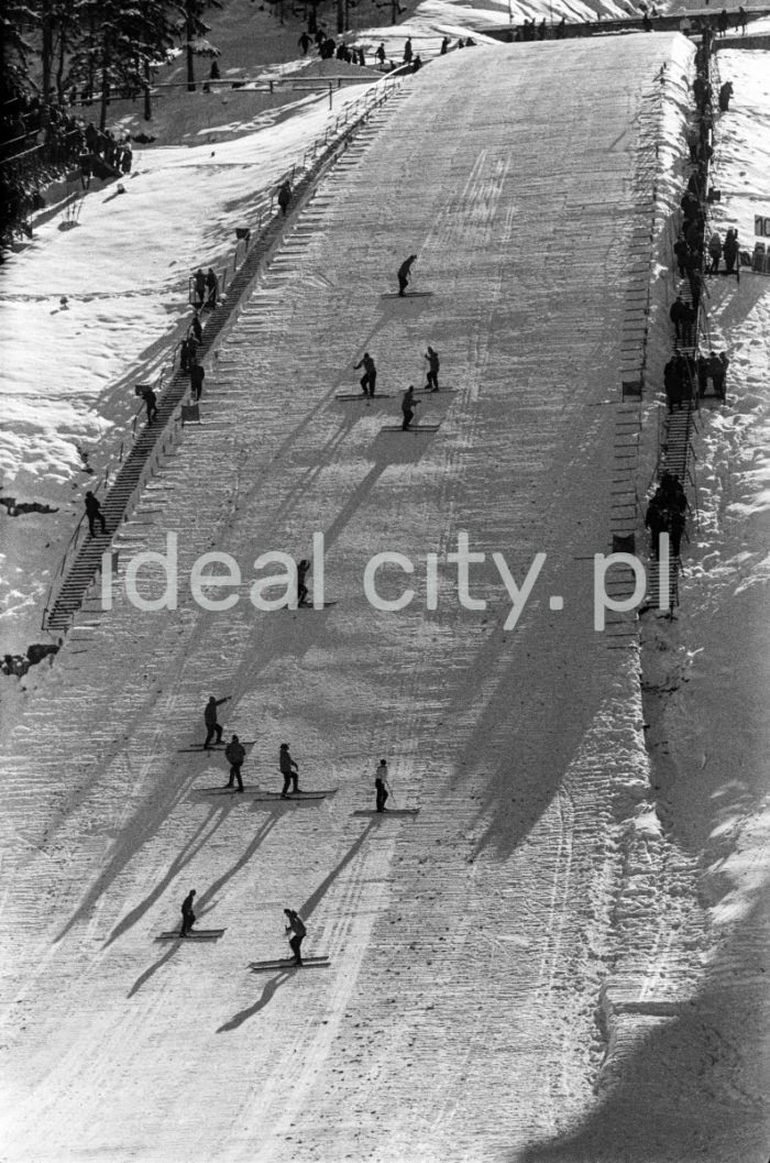 Preparations on the Wielka Krokiew ski jumping hill in Zakopane. 1960s.

Prace przygotowawcze na Wielkiej Krokwi w Zakopanem. Lata 60. XX w.

Photo by Henryk Makarewicz/idealcity.pl


