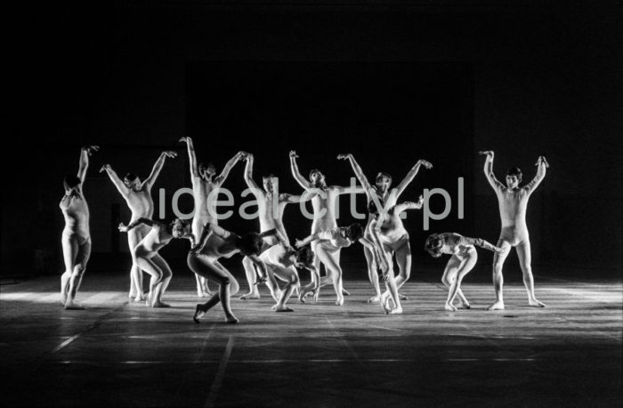 Balet Form Nowoczesnych (Modern Forms Ballet). 1960s. Kraków.

Balet form nowoczesnych, lata 60. XX w. Kraków

Photo by Henryk Makarewicz/idealcity.pl

