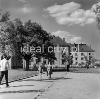 Wandy Estate. 1950s.

Osiedle Wandy, lata 50. XX w.

Photo by Wiktor Pental/idealcity.pl
