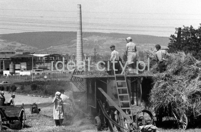 Haymaking against the background of an industrial plant under construction in Nowy Sącz. 1960s.

Sianokosy na tle budowy zakładów przemysłowych w Nowym Sączu. Lata 60. XX w.

Photo by Henryk Makarewicz/idealcity.pl



