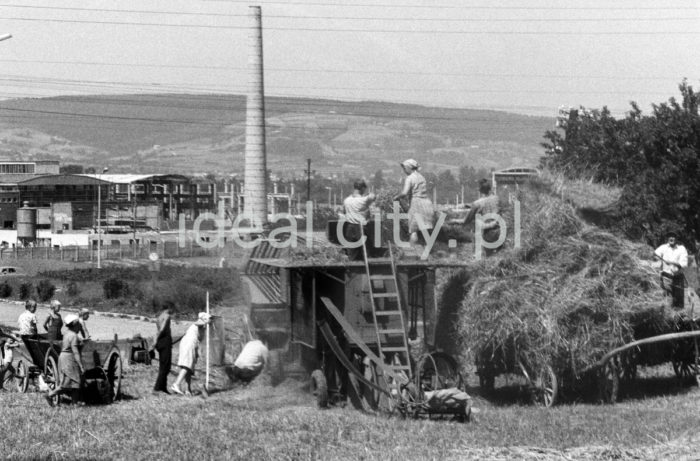 Haymaking against the background of an industrial plant under construction in Nowy Sącz. 1960s.

Sianokosy na tle budowy zakładów przemysłowych w Nowym Sączu. Lata 60. XX w.

Photo by Henryk Makarewicz/idealcity.pl



