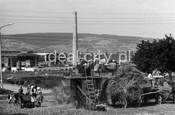 Haymaking against the background of an industrial plant under construction in Nowy Sącz. 1960s.

Sianokosy na tle budowy zakładów przemysłowych w Nowym Sączu. Lata 60. XX w.

Photo by Henryk Makarewicz/idealcity.pl



