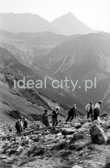 Steelworkers’ Lenin Trek, Tatra Mountains. September 1963.

Leninowski Rajd Hutników, Tatry, 09.1963

Photo by Henryk Makarewicz/idealcity.pl

