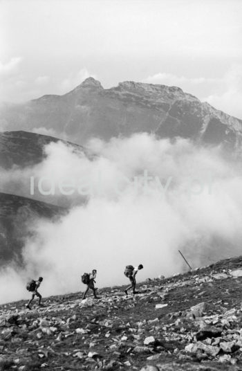 Steelworkers’ Lenin Trek, Tatra Mountains. September 1963.

Leninowski Rajd Hutników, Tatry, 09.1963

Photo by Henryk Makarewicz/idealcity.pl

