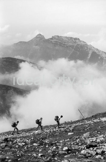 Leninowski Rajd Hutników, Tatry, 09.1963

fot. Henryk Makarewicz/idealcity.pl
