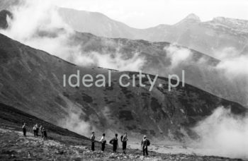 Steelworkers’ Lenin Trek, Tatra Mountains. September 1963.

Leninowski Rajd Hutników, Tatry, 09.1963

Photo by Henryk Makarewicz/idealcity.pl

