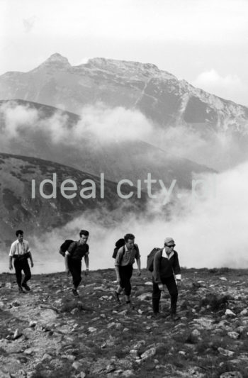 Steelworkers’ Lenin Trek, Tatra Mountains. September 1963.

Leninowski Rajd Hutników, Tatry, 09.1963

Photo by Henryk Makarewicz/idealcity.pl

