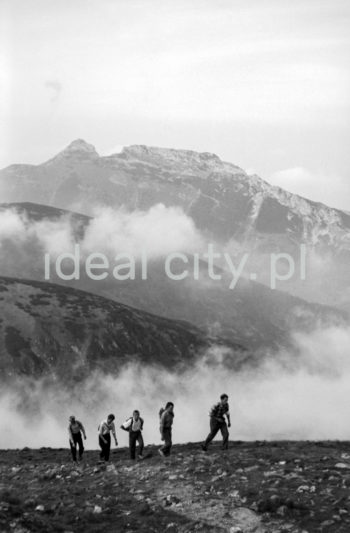 Steelworkers’ Lenin Trek, Tatra Mountains. September 1963.

Leninowski Rajd Hutników, Tatry, 09.1963

Photo by Henryk Makarewicz/idealcity.pl

