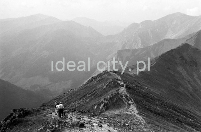 Steelworkers’ Lenin Trek, Tatra Mountains. September 1963.

Leninowski Rajd Hutników, Tatry, 09.1963

Photo by Henryk Makarewicz/idealcity.pl

