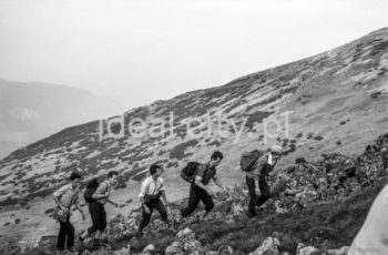 Steelworkers’ Lenin Trek, Tatra Mountains. September 1963.

Leninowski Rajd Hutników, Tatry, 09.1963

Photo by Henryk Makarewicz/idealcity.pl

