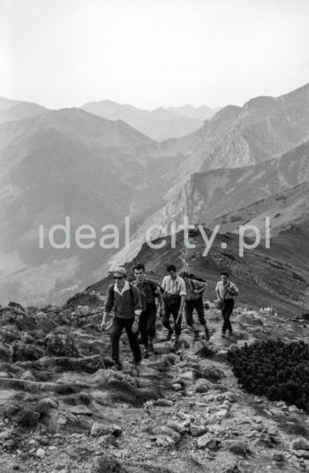 Steelworkers’ Lenin Trek, Tatra Mountains. September 1963.

Leninowski Rajd Hutników, Tatry, 09.1963

Photo by Henryk Makarewicz/idealcity.pl

