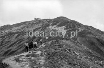 Steelworkers’ Lenin Trek, Tatra Mountains. September 1963.

Leninowski Rajd Hutników, Tatry, 09.1963

Photo by Henryk Makarewicz/idealcity.pl

