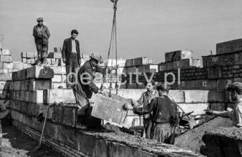 Constructing the Urocze Estate. 1950s.

Budowa Osiedla Uroczego, lata 50. XX w.

Photo by Wiktor Pental/idealcity.pl

