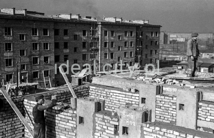 Constructing the Zgody Estate. 1950s.

Budowa Osiedla Zgody, lata 50. XX w.

Photo by Wiktor Pental/idealcity.pl

