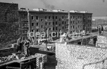 Constructing the Zgody Estate. 1950s.

Budowa Osiedla Zgody, lata 50. XX w.

Photo by Wiktor Pental/idealcity.pl

