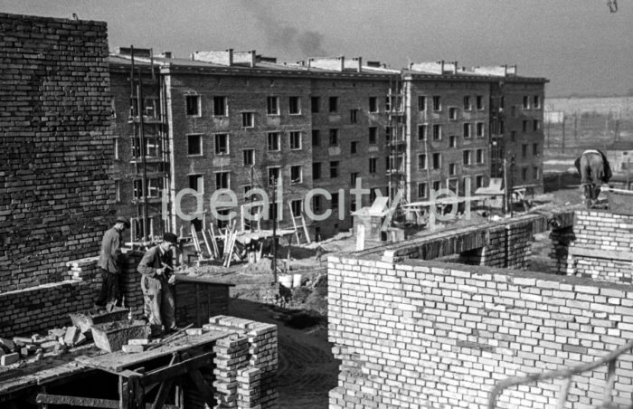 Constructing the Zgody Estate. 1950s.

Budowa Osiedla Zgody, lata 50. XX w.

Photo by Wiktor Pental/idealcity.pl

