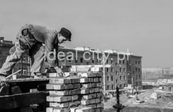 Construction of the Zgody Estate. 1950s.

Budowa Osiedla Zgody, lata 50. XX w.

Photo by Wiktor Pental/idealcity.pl
