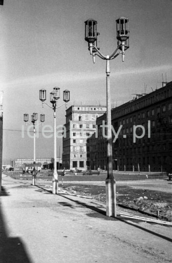 Aleja Róż. Lata 50. XXw.

fot. Wiktor Pental/idealcity.pl


