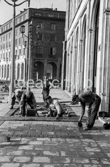 Kładzenie bruku przed budynkami Centrum B od strony Placu Centralnego. Lata 50. XXw.

fot. Henryk Makarewicz/idealcity.pl

