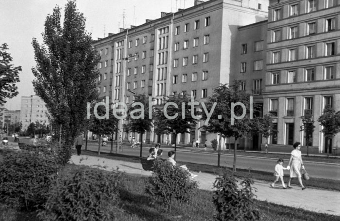 View from Park Ratuszowy towards Przyjaźni Polsko-Radzieckiej Alley (Polish and Russian Friendship Alley, now Przyjaźni Alley) and residential buildings with shops on the Centrum B (B-31) Estate; in the background, left: a residential block in the Hutnicze (A-33) Estate. 1960s.

Widok od strony Parku Ratuszowego na aleję Przyjaźni Polsko-Radzieckiej (obecnie aleja Przyjaźni) oraz domy mieszkalne z lokalami handlowo-usługowymi na osiedlu Centrum B (B-31), z tyłu, po lewej stronie, budynek mieszkalny na osiedlu Hutniczym (A-33), lata 60.

Photo by Henryk Makarewicz/idealcity.pl

