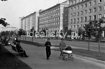 Widok od strony Parku Ratuszowego na aleję Przyjaźni Polsko-Radzieckiej (obecnie aleja Przyjaźni) oraz domy mieszkalne z lokalami handlowo-usługowymi na osiedlu Centrum B (B-31), z tyłu, po lewej stronie, budynek mieszkalny na osiedlu Hutniczym (A-33), lata 60.

fot. Henryk Makarewicz/idealcity.pl
