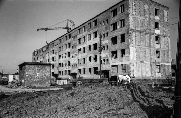 A construction site on the Ugorek Estate in Kraków. 1960s. 

Budowa bloków na Osiedlu Ugorek w Krakowie. Lata 60. XX w.

Photo by Henryk Makarewicz/idealcity.pl




