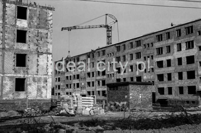 Construction of residential blocks on the Ugorek Estate in Kraków. 1960s.

Budowa bloków na Osiedlu Ugorek w Krakowie. Lata 60. XX w.

Photo by Henryk Makarewicz/idealcity.pl



