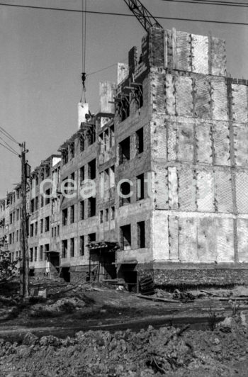 Budowa bloków na Osiedlu Ugorek w Krakowie. Lata 60. XXw.

fot. Henryk Makarewicz/idealcity.pl




