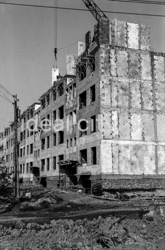 Construction of residential blocks on the Ugorek Estate in Kraków. 1960s.

Budowa bloków na Osiedlu Ugorek w Krakowie. Lata 60. XX w.

Photo by Henryk Makarewicz/idealcity.pl



