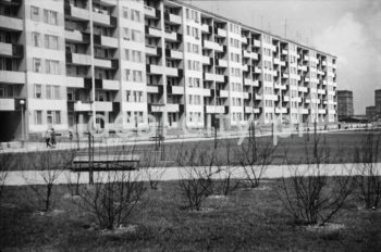 „Blok szwedzki” - modernistyczny budynek mieszkalny (zaprojektowany po 1956 roku) na osiedlu B-32 (Szklane Domy), w tle, po prawej fragment osiedla B-1 (Szkolne), koniec lat 50. XXw.

fot. Henryk Makarewicz/idealcity.pl
