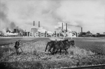 Widok od strony Pleszowa w kierunku Aglomerowni i Zakładu Koksochemicznego, lata 50. Pierwszy obiekt produkcyjny – warsztat mechaniczny – oddano do użytku w grudniu 1952 roku. We wrześniu 1954 roku została uruchomiona bateria koksownicza nr 1 wraz z pierwszą nitką produkcyjną wydziału chemicznego, w listopadzie uruchomiono baterię koksownicza nr 2, a baterię nr 6 w 1958 roku. Koksownia to zakład przemysłowy, w którym w piecach koksowniczych poddaje się odgazowaniu węgiel kamienny i otrzymuje się koks, gaz koksowniczy, benzol, wodę amoniakalną i smołę pogazową (wykorzystywaną między innymi do produkcji środków ochrony roślin, lekarstw, barwników, mas plastycznych oraz materiałów wybuchowych). Aglomerownia to spiekalnia rud. Jest to zespół budynków ze składowiskiem materiałów sypkich, suwnicami oraz systemem taśmociągów i wysokimi kominami. W spiekalni przygotowuje się wsad rudy (pozyskiwanej także ze złomu do wielkiego pieca), kolejno mieszany z koksem. 

fot. Henryk Makarewicz/idealcity.pl

