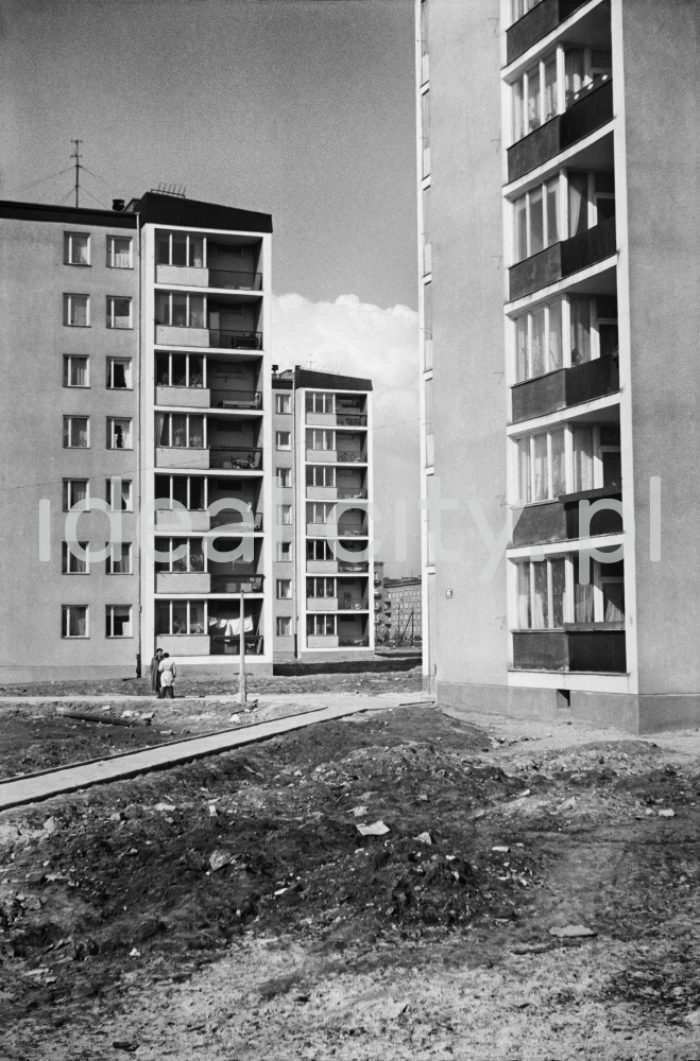 Modernistyczne budynki mieszkalne (projektowane po 1956 roku) na osiedlu D-3 (Handlowe), koniec lat 50.

fot. Henryk Makarewicz/idealcity.pl
