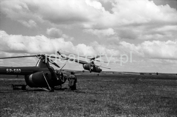 Helikoptery na lotnisku w Pobiedniku Wielkim. Początek lat 60. XXw. 

fot. Henryk Makarewicz/idealcity.pl

