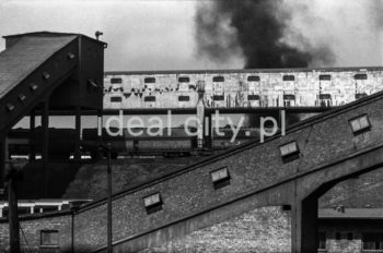 Lenin Metallurgical Combine, Coking Plant – coke oven battery, 1960s.
Coke is chiefly used for smelting iron in blast furnaces. Anthracite was coked in coke ovens invented in the 1940s. A group of such ovens was known as a coke oven battery.

Kombinat metalurgiczny im. Lenina w Nowej Hucie, rejon baterii koksowniczej, lata 60.
Koks wykorzystywany jest przede wszystkim w wytopie żelaza w wielkich piecach. Do koksowania węgla kamiennego służyły piece koksownicze wynalezione w latach 40. Zestaw takich pieców nazywał się baterią koksowniczą. 

Photo by Henryk Makarewicz/idealcity.pl


